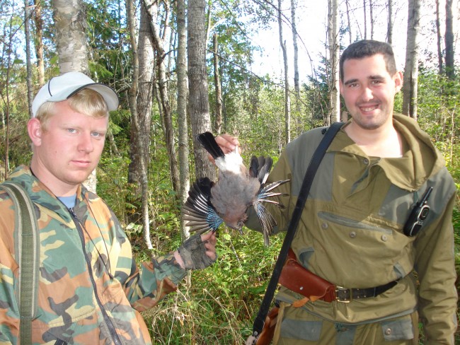 Позор, позор джунглям!