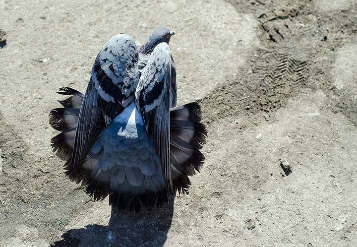 DSC_3558_2.jpg