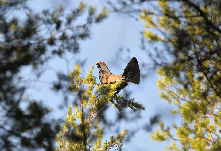 DSC_6547.jpg