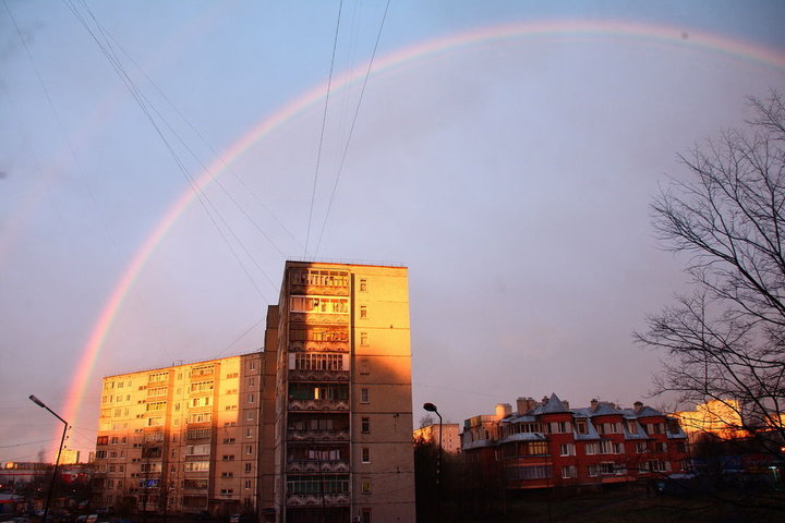 DSC_0379.JPG