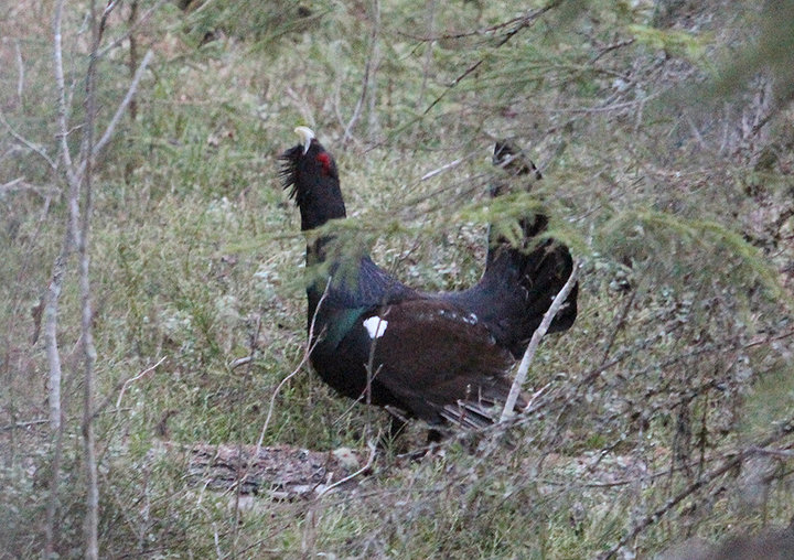 IMG_5111.jpg