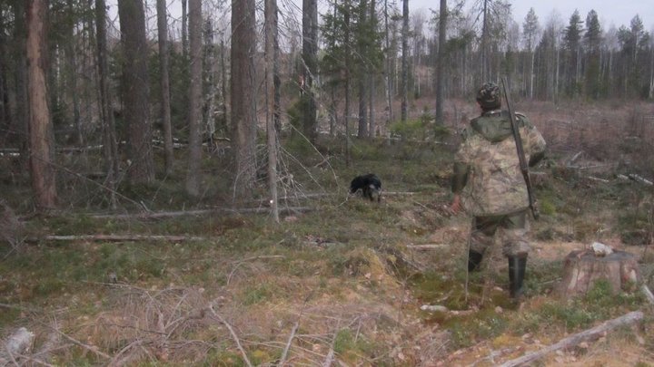 В поиске