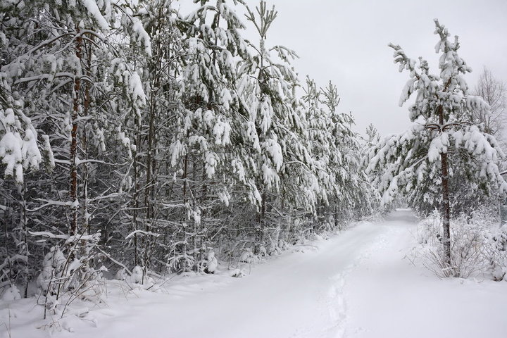 DSC_0395.JPG