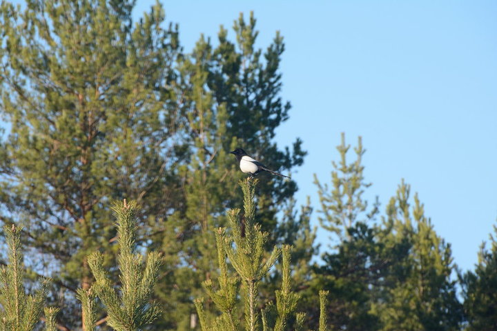 DSC_0400.JPG