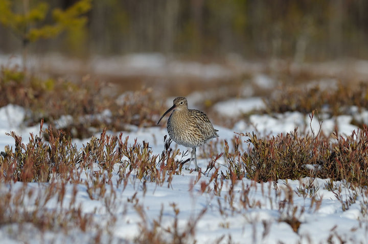 DSC_9829.jpg