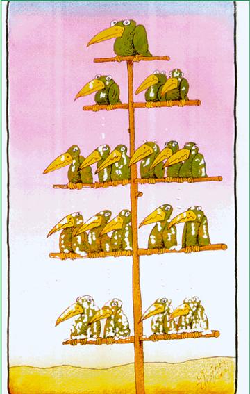 Organisation_Chart.jpg