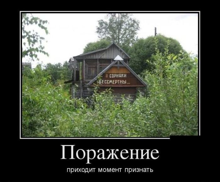дача.jpg