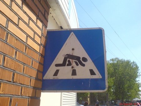 .jpg