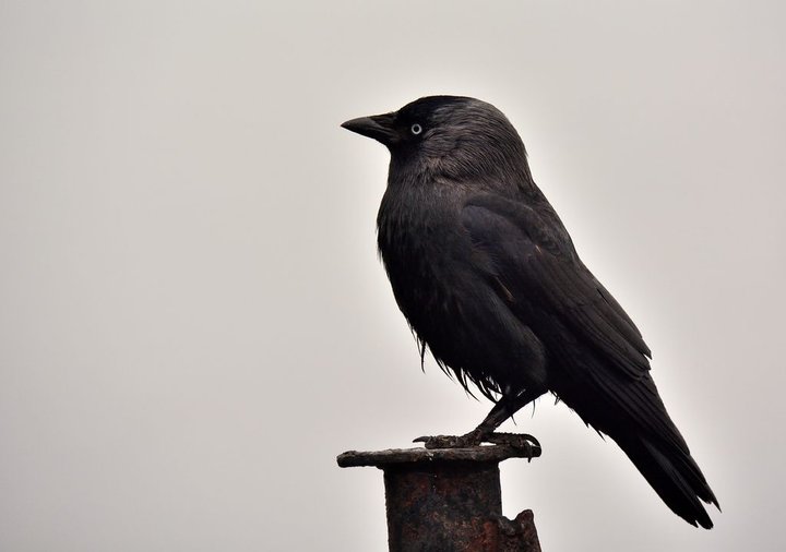 DSC_0608.JPG