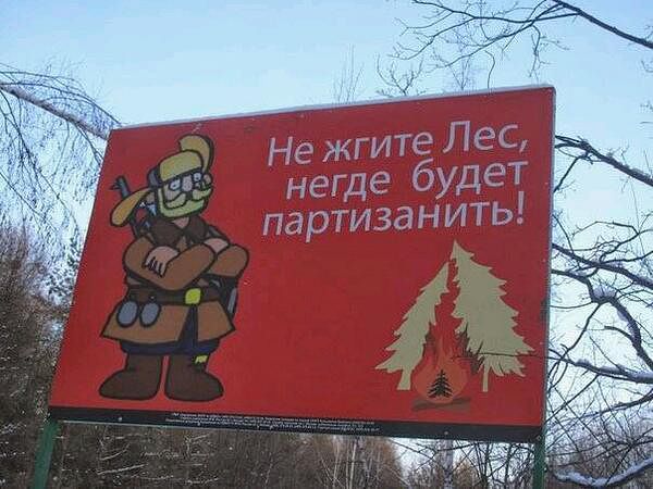 getImage (22).jpg