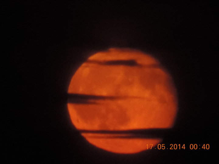 DSCN0341.JPG