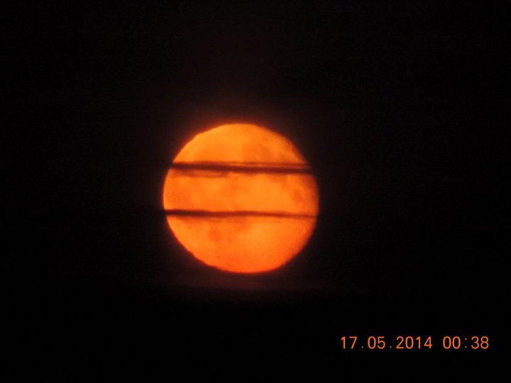 DSCN0339.JPG