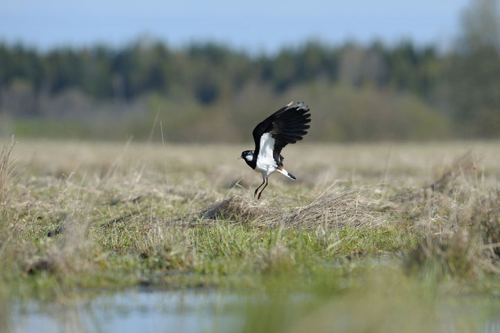 DSC_2726.jpg