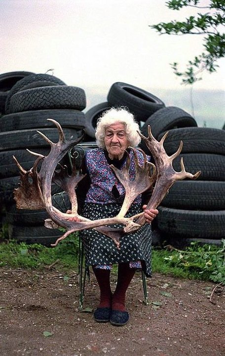 роги.jpg