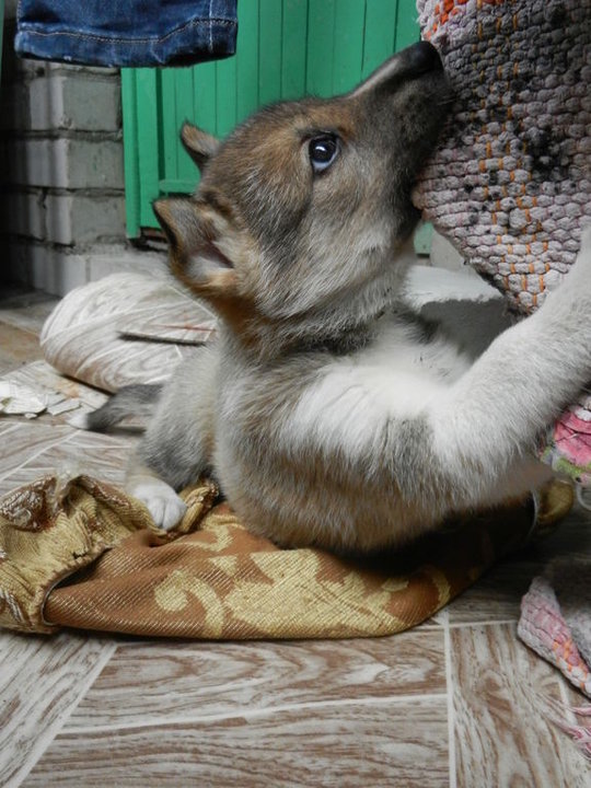 DSCN2146.JPG