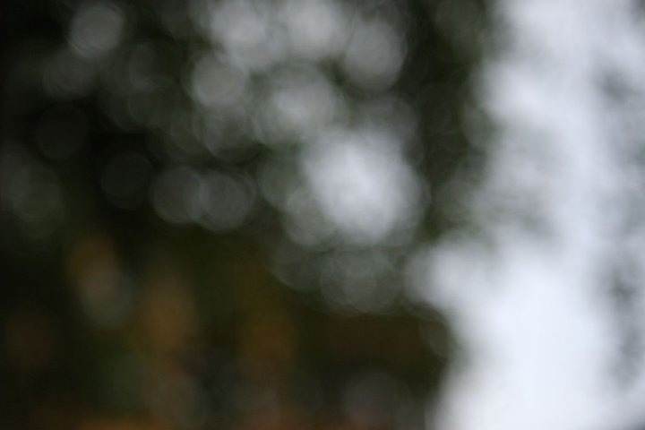DSC_4720.jpg