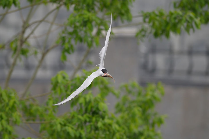 DSC_4888.jpg