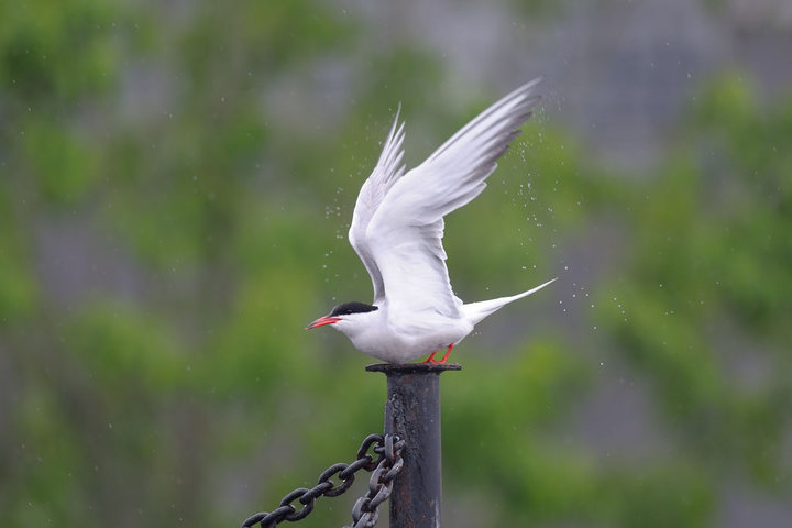 DSC_5004.jpg