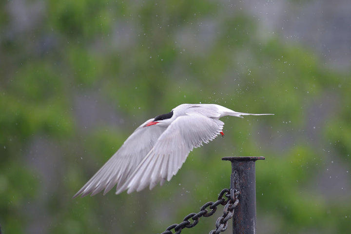 DSC_5005.jpg