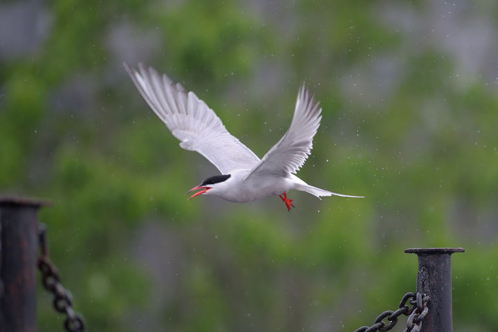 DSC_5006.jpg