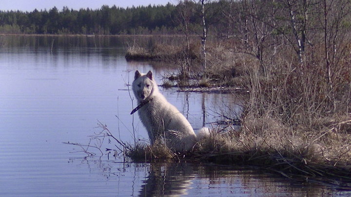 PIC_0022.JPG