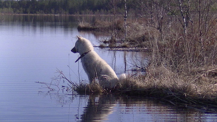PIC_0024.JPG