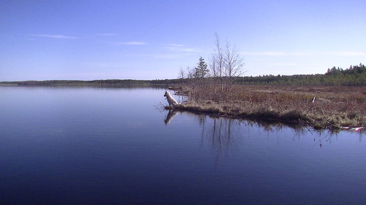 PIC_0028.JPG
