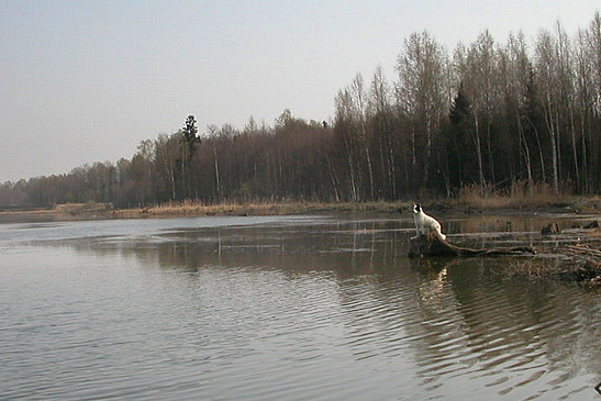 44411087-2.jpg