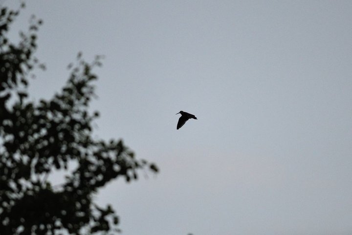 DSC_5844.jpg