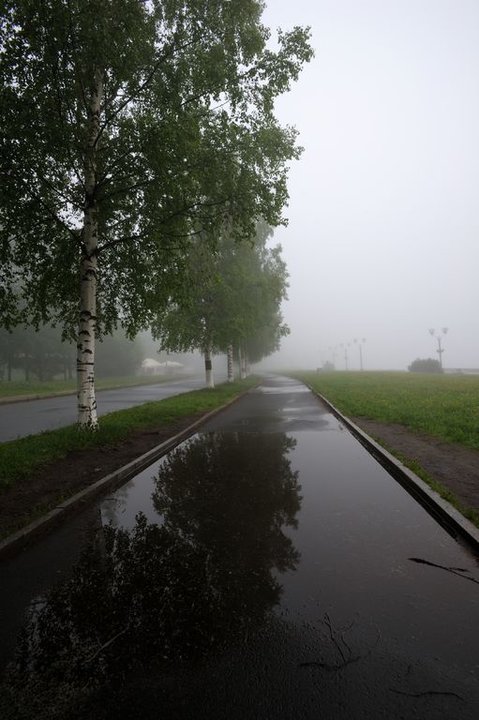 DSC_5167.jpg