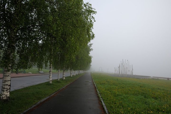 DSC_5232.jpg