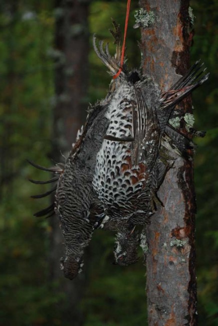 DSC_3045.jpg