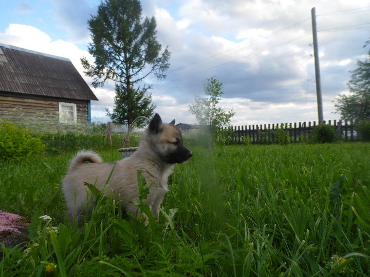 SAM_0974.JPG