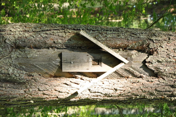 DSC_0559.JPG