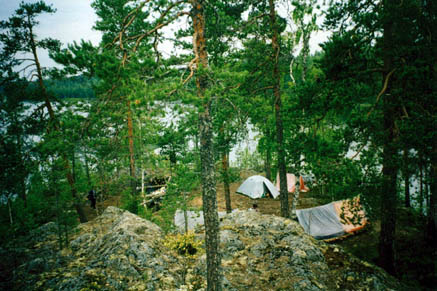 02.jpg