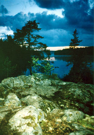 08.jpg