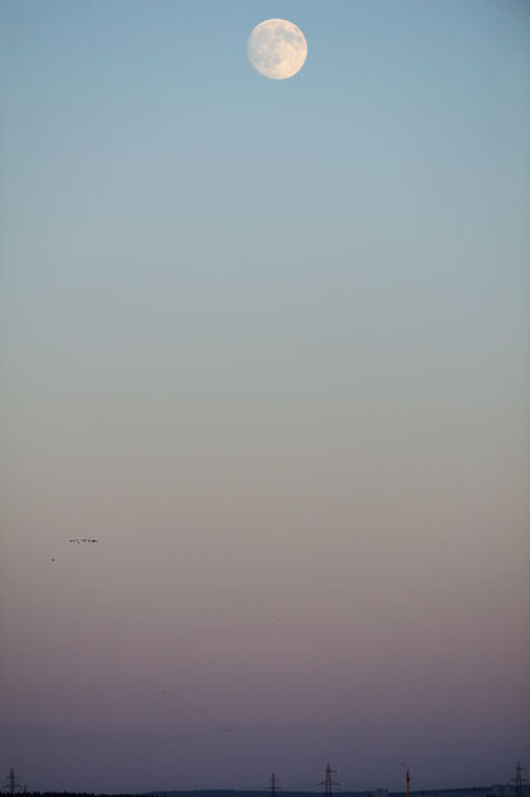 DSC_6679.jpg