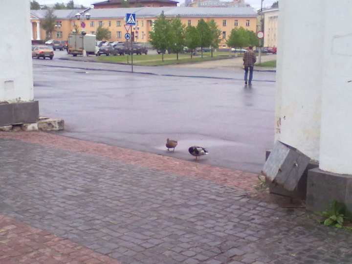 300520141608.jpg (97.57 КБ) 4839 просмотров 300520141608.jpg