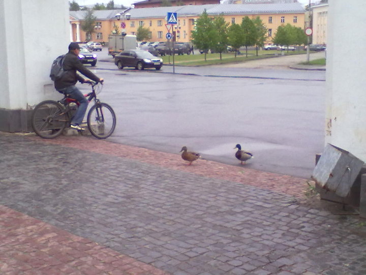 300520141609.jpg (104.91 КБ) 3826 просмотров 300520141609.jpg