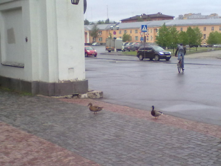 300520141610.jpg (84.76 КБ) 4839 просмотров 300520141610.jpg