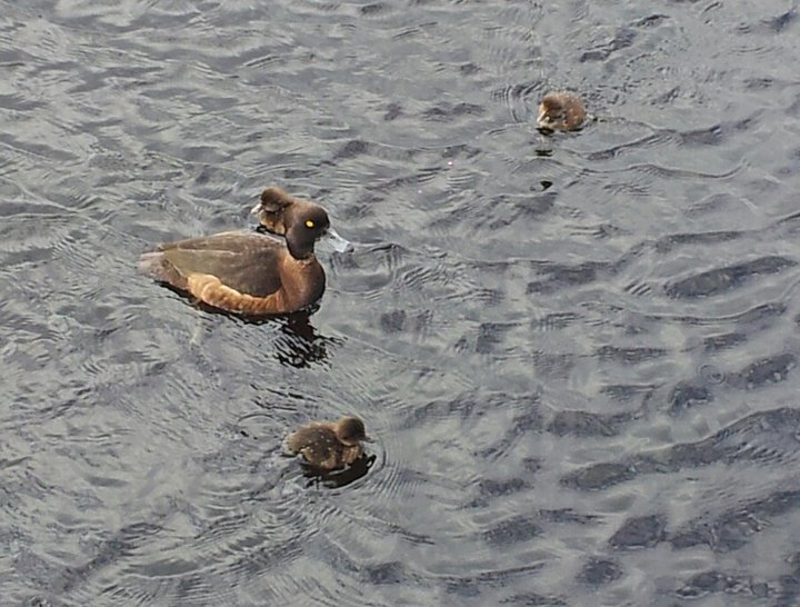 20140621_163404-1.jpg