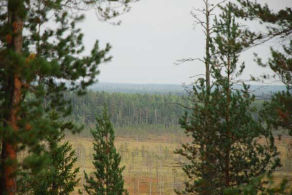 DSC_3275.jpg