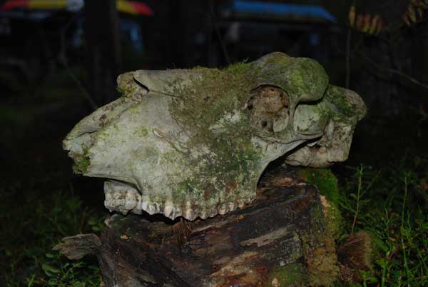 DSC_3322.jpg
