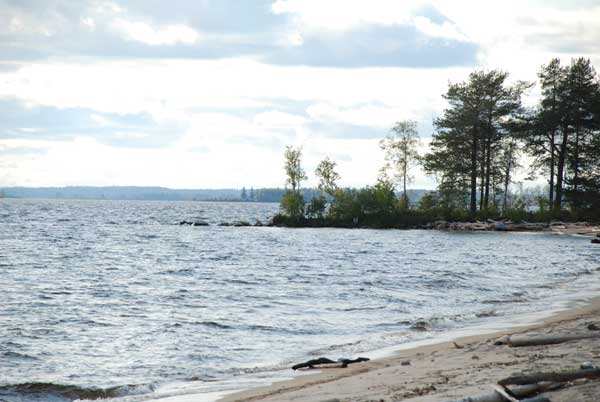 DSC_3364.jpg
