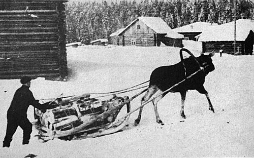 бл5.jpg