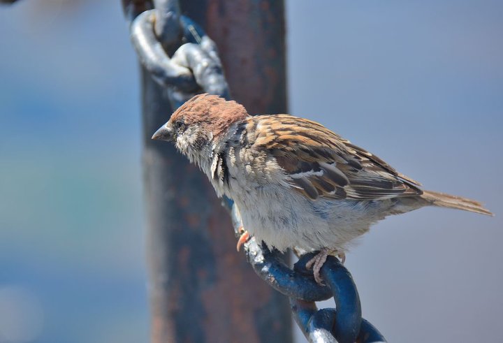 DSC_1077.JPG