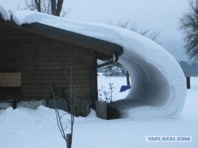 снег.jpg