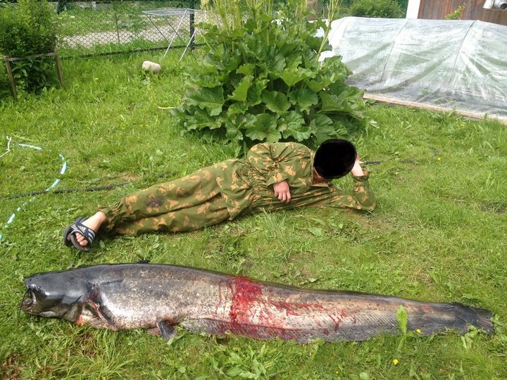 5_новый размер.JPG