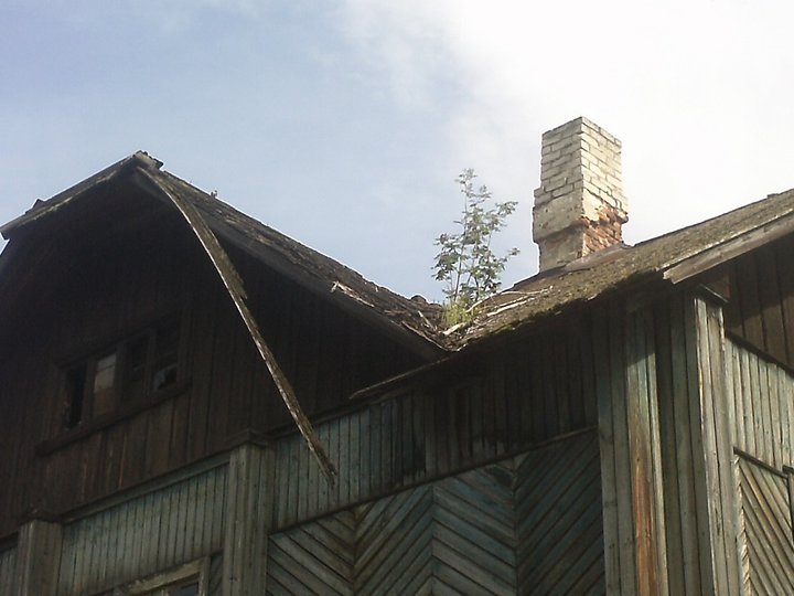 Симпатичная рябинка