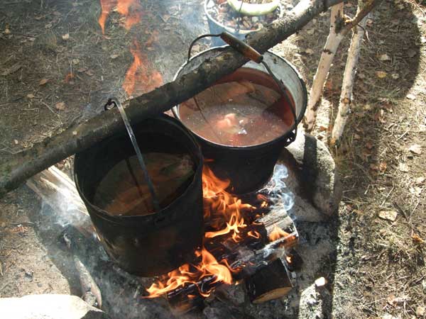 DSCF1229.jpg